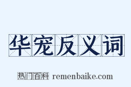 华宠反义词是什么意思的图片